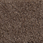 Harborage Cattail