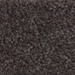 Harborage Dark Roast