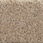 Harborage Flax Seed