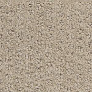 Dasher Heights GL093 - Shaw Carpet