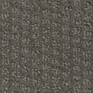 Dasher Heights Charcoal