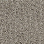 Dasher Heights Valley Mist