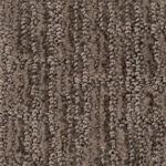 Sanibel Beach Driftwood