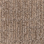 Sanibel Beach Peanut Shell