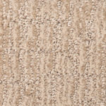 Sanibel Beach Sunlight