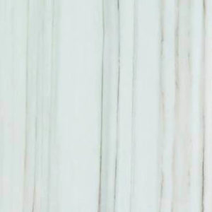 Shaw Marvel 12 x 24 Polished Zebrino 155