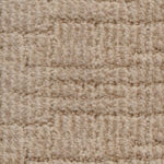 Siesta Cove Sunlight