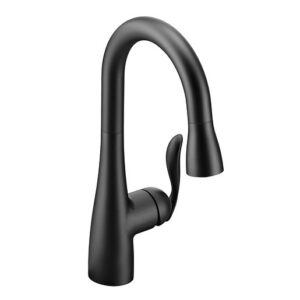 Moen Arbor Matte Black
