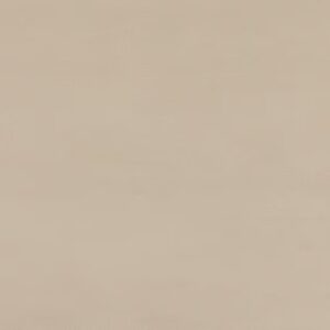 Daltile Synchronic 12 x 24 Matte - Beige
