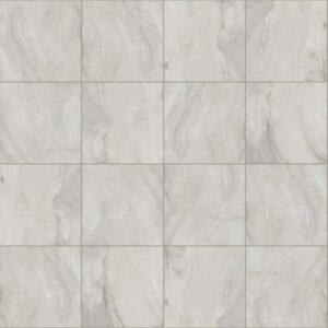 Shaw Paradigm 24"x24" Matte - 110 Onyx Crystallo