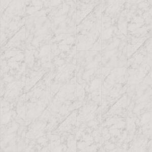 Shaw Paradigm 12 x 24 111 Carrara Abisso Matte