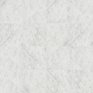 Shaw Paradigm 24"x24" Matte - 111 Carrara Abisso