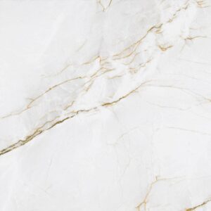Daltile 24"x24" Polished - Mont Serrat MS60